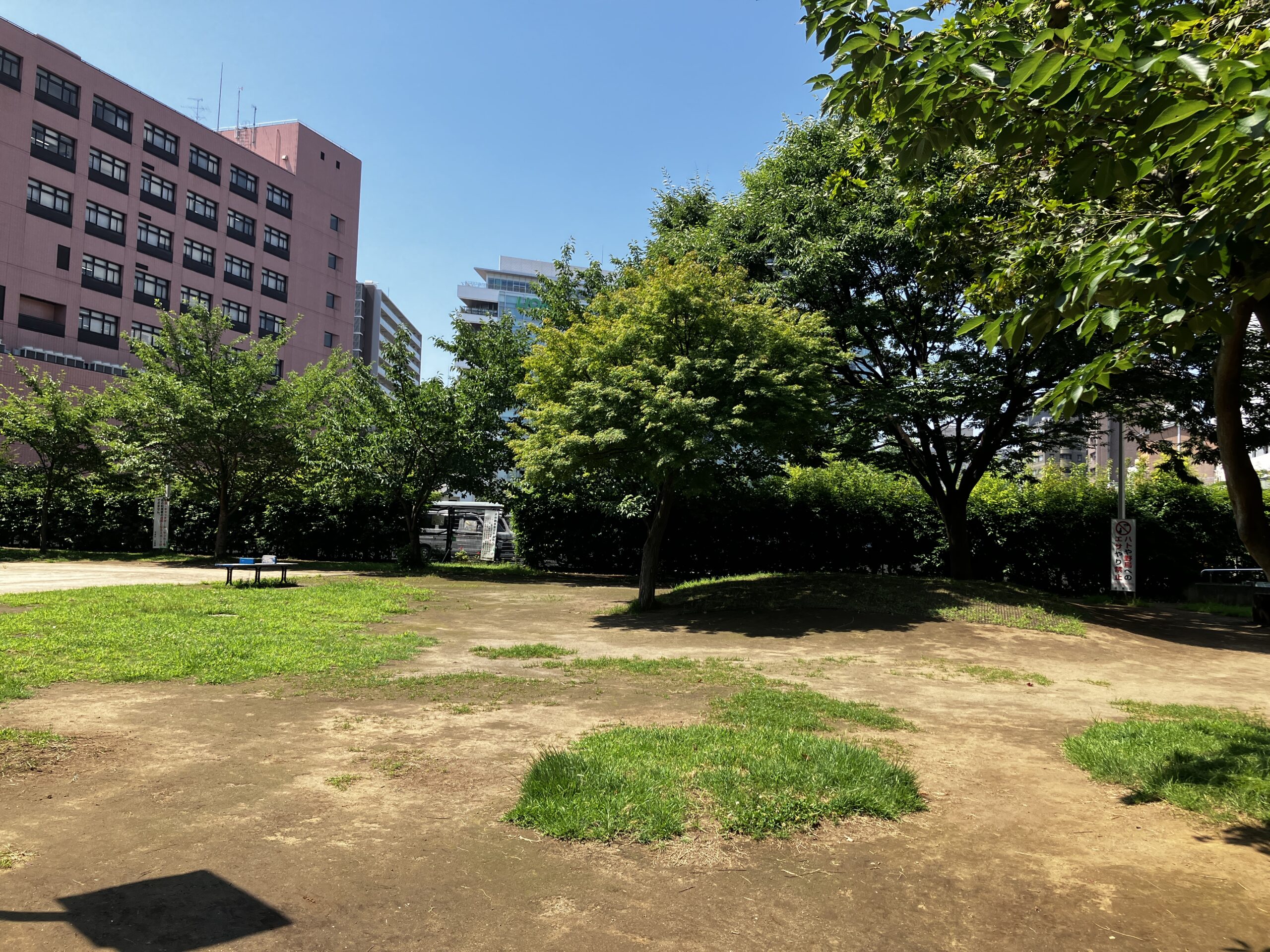 蔵前公園の画像